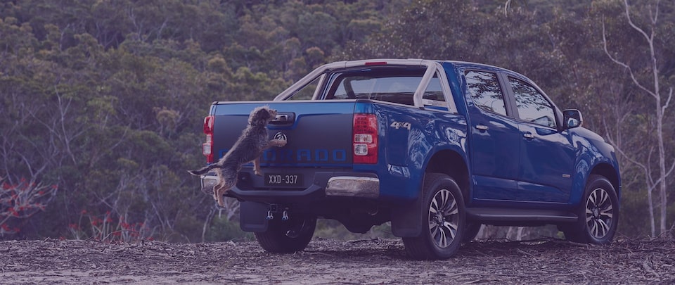 Holden Colorado